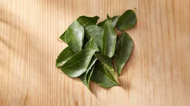 garnishing-instructions-image